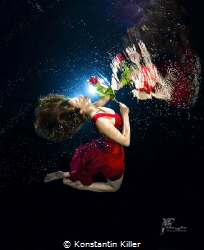 Underwater Model Photography
UW model Nadine Werner
Pho... by Konstantin Killer 